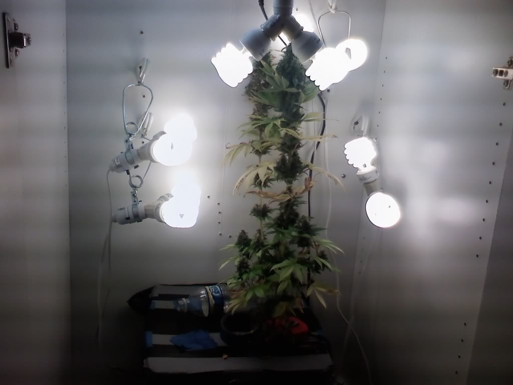 R3GHETTOSETUPFD62.jpg