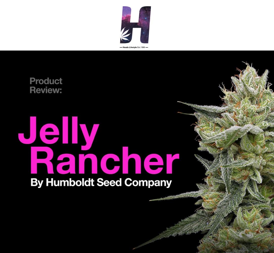 humboldtseedcompany.com