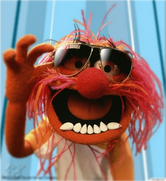 animal_muppet_13.jpg
