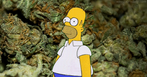 simpsons.gif