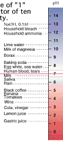 0000-ph-table_r1_c2.gif