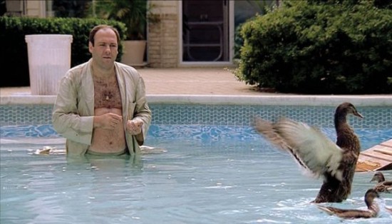 james-gandolfini-tony-soprano-ducks-550x314.jpg