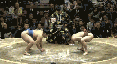 gifs_15.gif