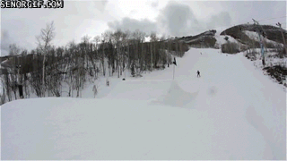 gifs_04.gif