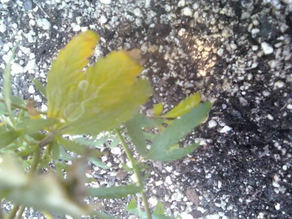 downsized_0613011650.jpg
