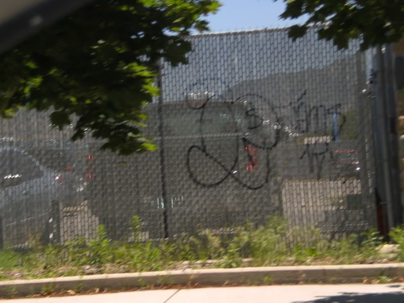 CIMG0577.jpg