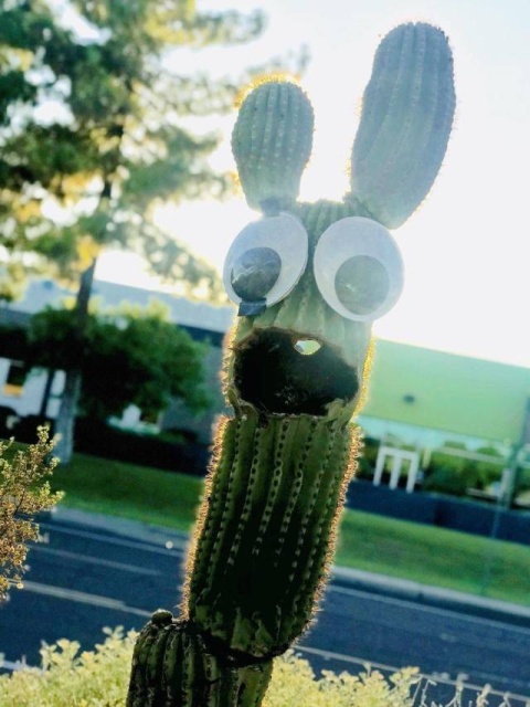 acid_picdump_35.jpg