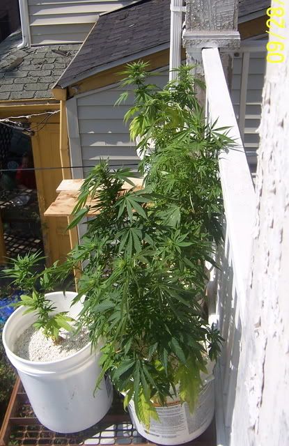 100_0592.jpg