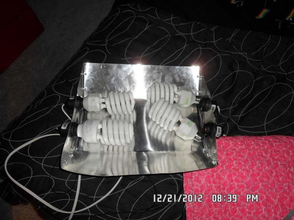 SAM_0471_zpsa1ce16d1.jpg