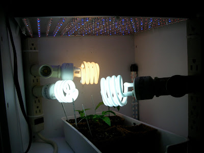 DSCN2843.JPG