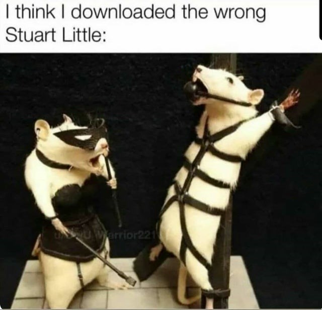 blackhumormeme-05.jpg