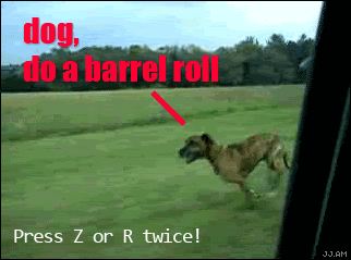 1217984744303.gif