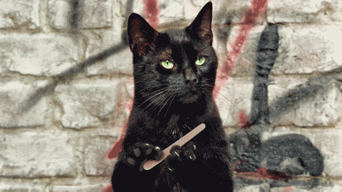 tumblr_lz5fleEISp1qll2u3o1_500.gif