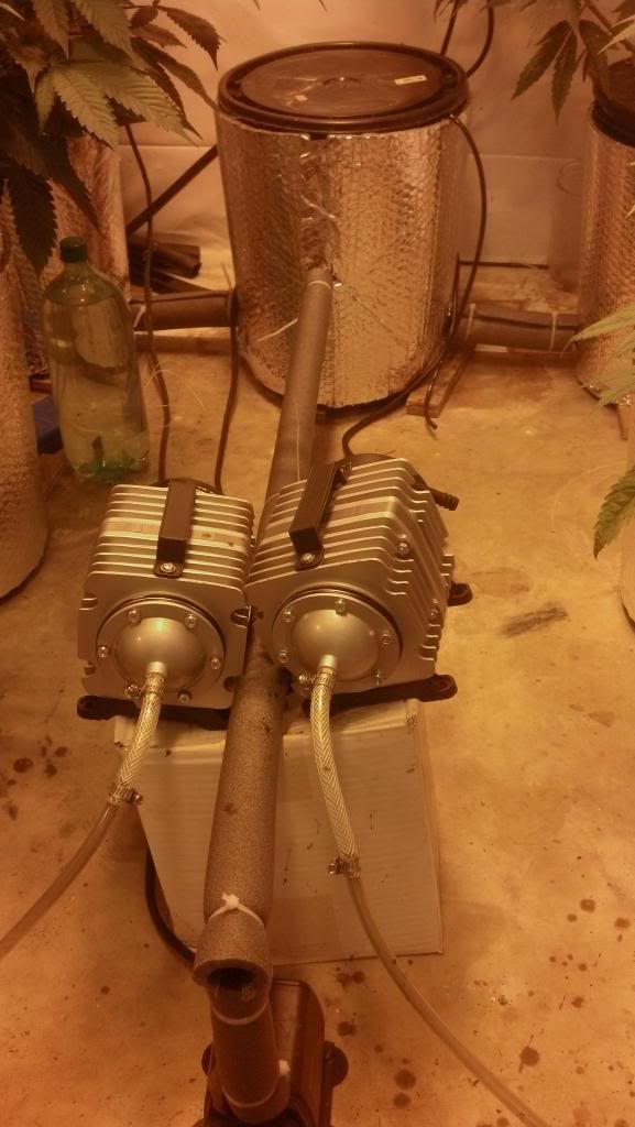 2013-01-05_15-10-28_697_zps1c6b1c9c.jpg