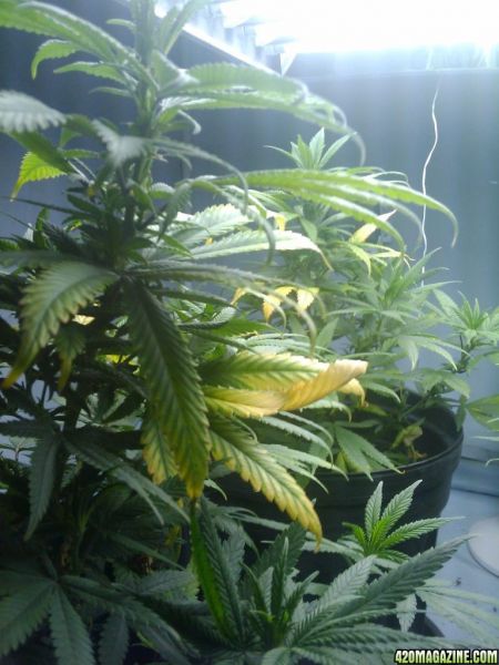2009-09-29_14_21_49.jpg