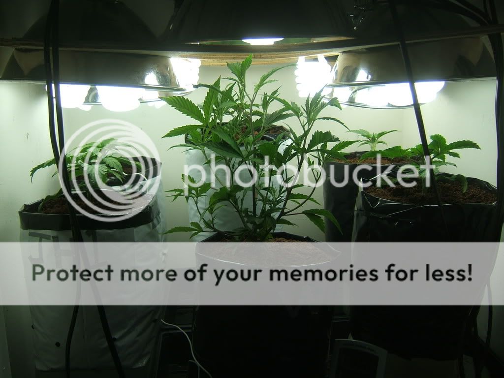 DSCF1569.jpg
