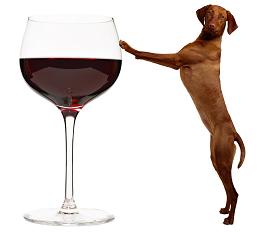 WineAndBitchWhite.JPG