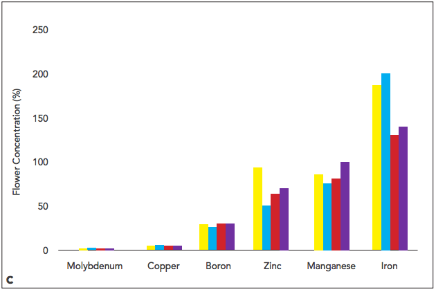 linegraph_c.png