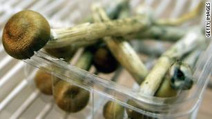 One dose of 'magic mushroom' drug reduces anxiety and depression in cancer patients, study says