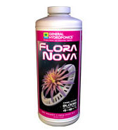 floranova2.jpg