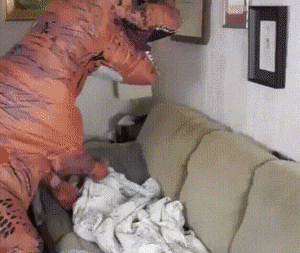 1665676053_24.gif