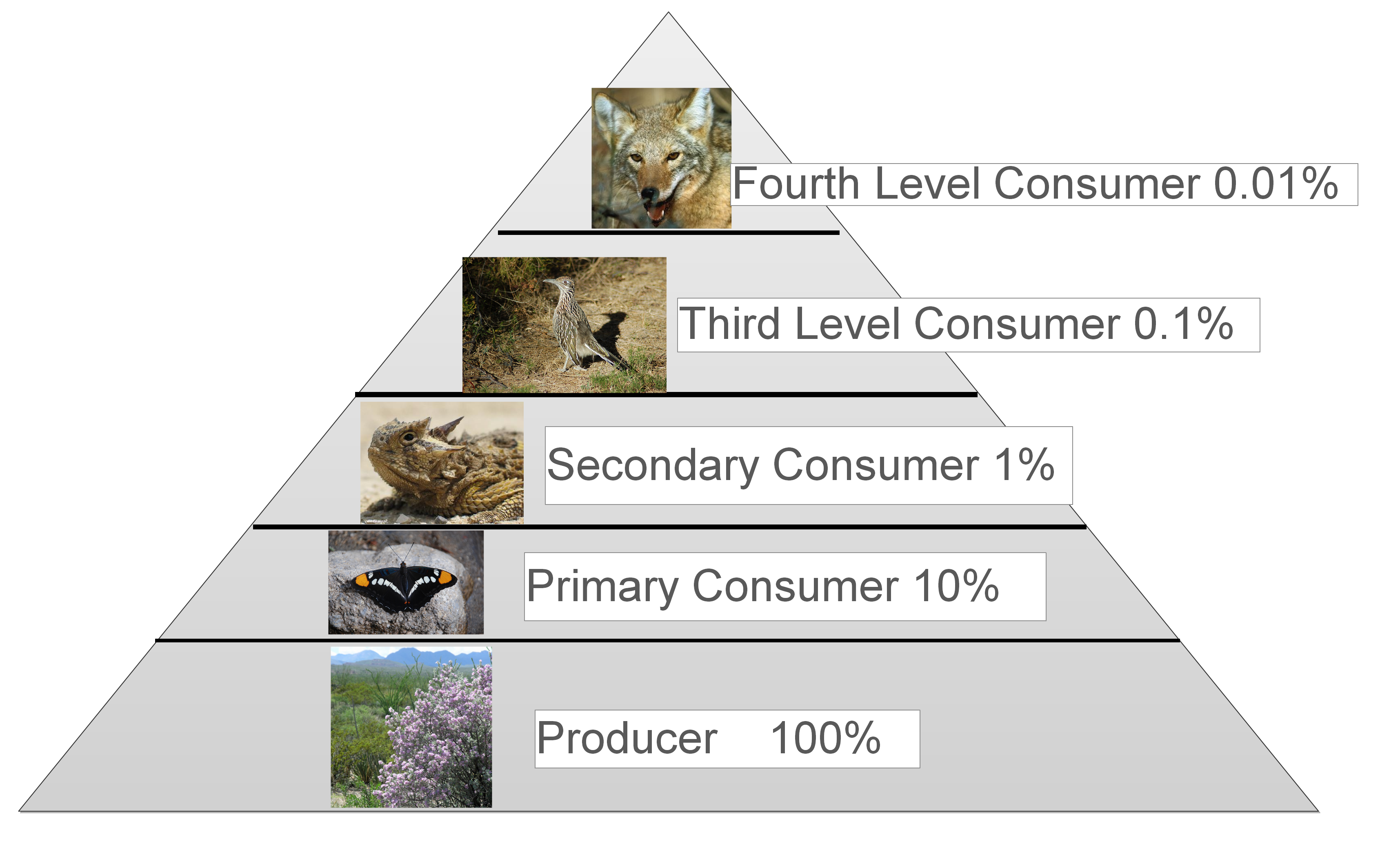 energy_pyramid.png