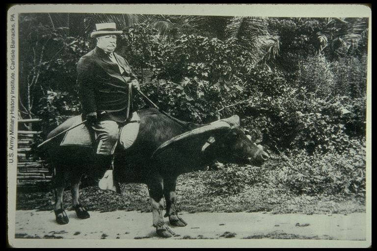taftbuffalo.jpg