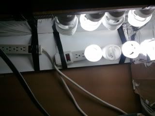 2011-07-15015745.jpg