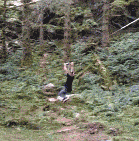 82793499.gif