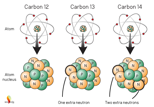 Carbon12_13_14.jpg