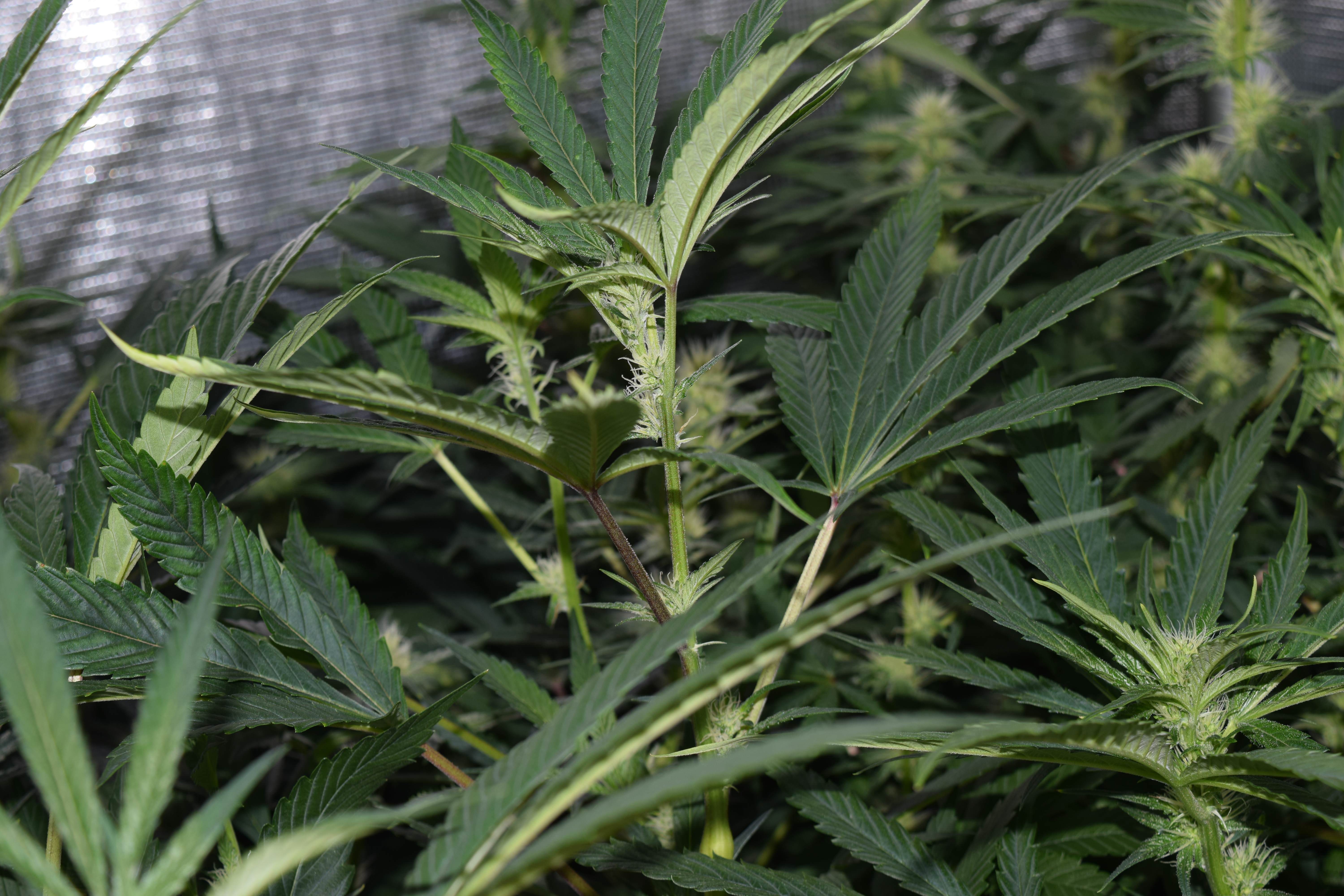 HKX2wWw.jpg