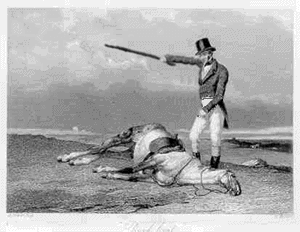 horsejack.gif
