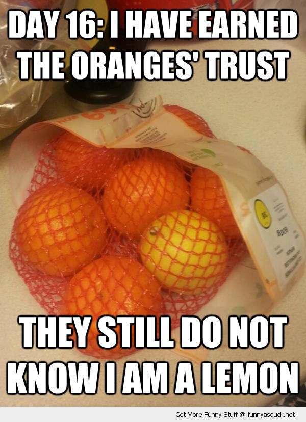 funny-undercover-lemon-orange-bag-pics.jpg