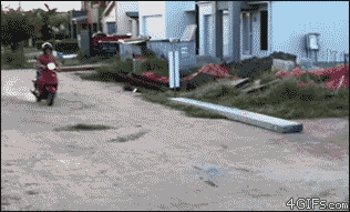 gifs_09.gif