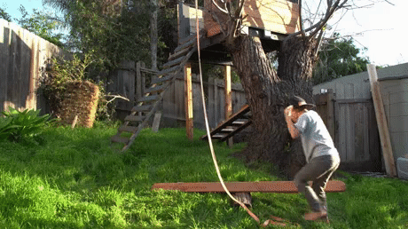 gifs_08.gif