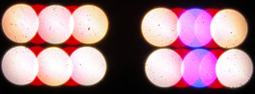 5795464055_23f3433716.jpg