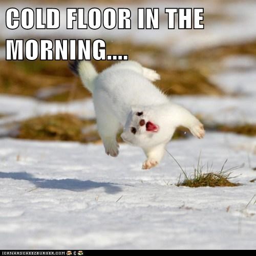 cold-floor-in-the-morning