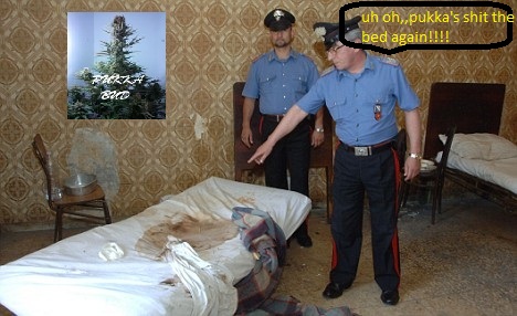 FOmla1Y.jpg