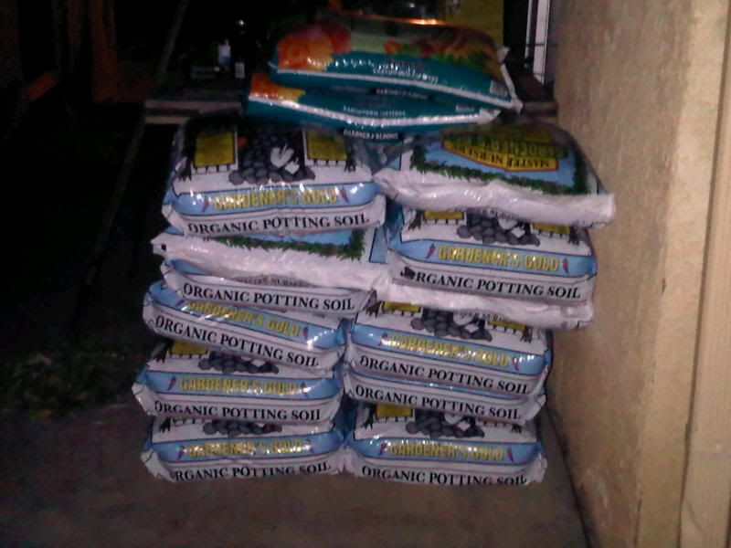 IMG00294-20120110-2000.jpg
