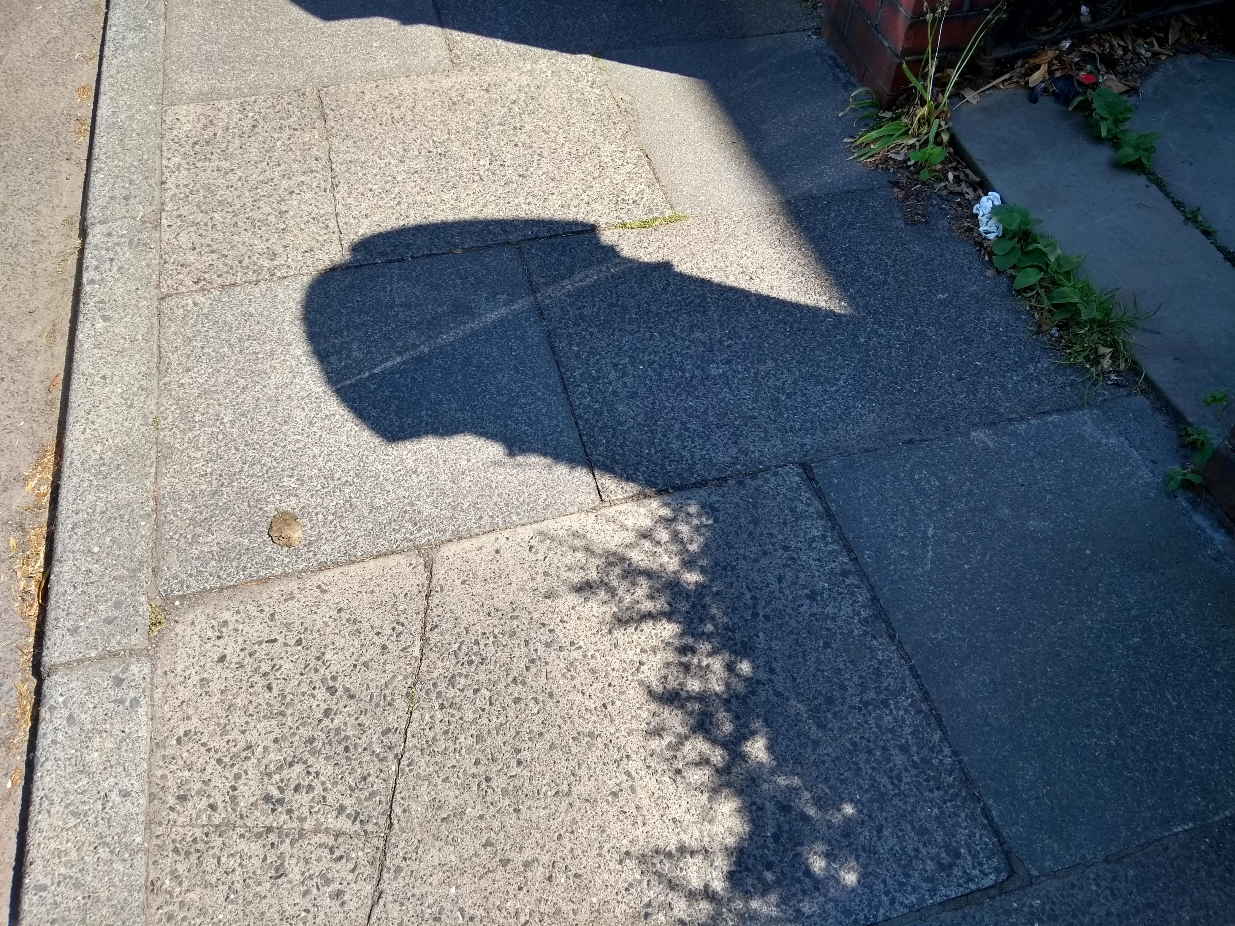 Shadow Penis: mildlypenis