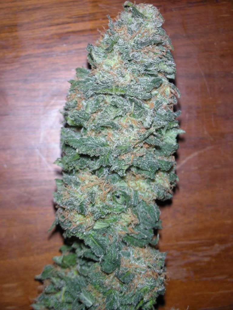 DSCN2052.jpg