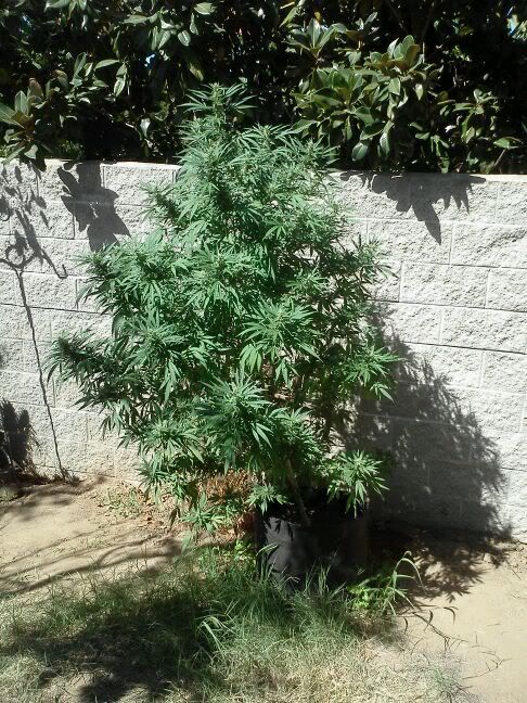0927111407.jpg