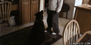 gifs_20.gif