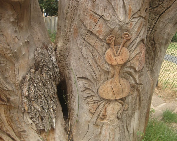 tree11.jpg