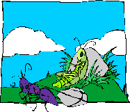 image.gif