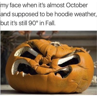 fall-memes-funny-.jpg