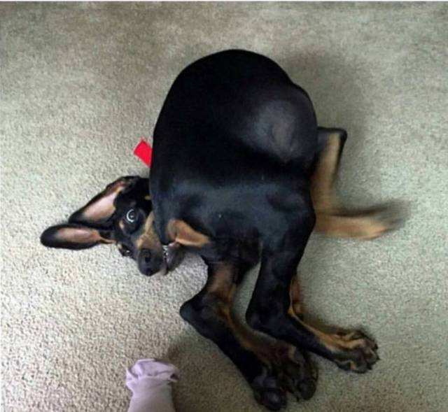 acid_picdump_88.jpg