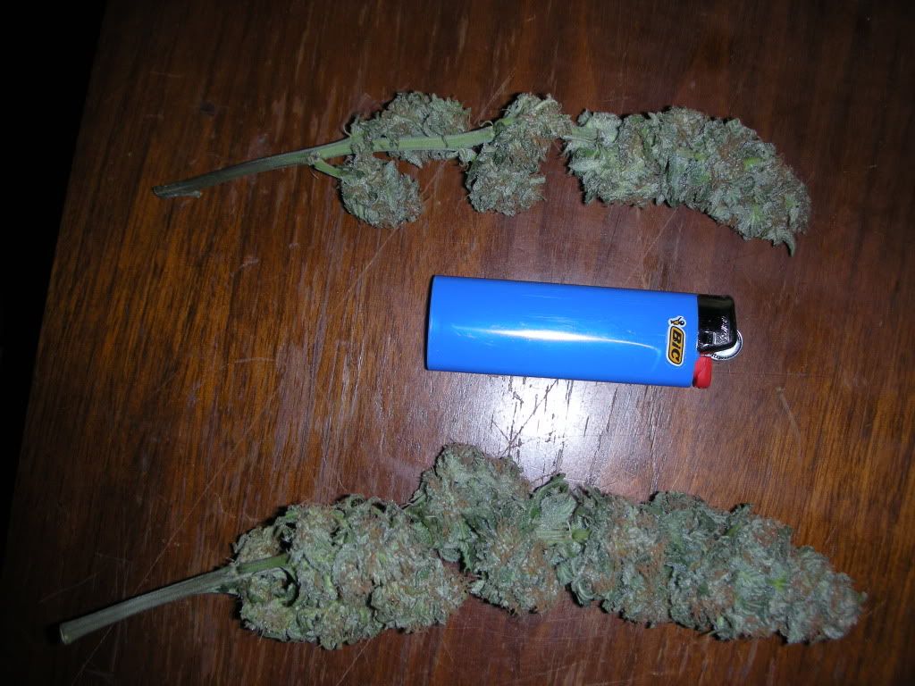 DSCN2053.jpg