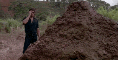 hE4VKJX.gif