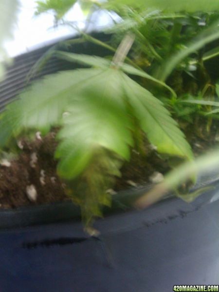 2009-09-29_14_27_36.jpg